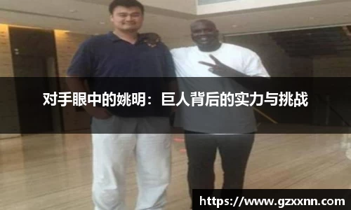 对手眼中的姚明：巨人背后的实力与挑战